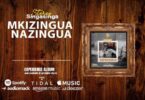 Audio: Stereo Singasinga - Mkizingua Nazingua (Mp3 Download) - KibaBoy