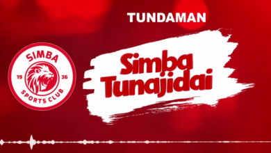 Audio: Tunda Man - Simba Tunajidai (Mp3 Download) - Kibaboy