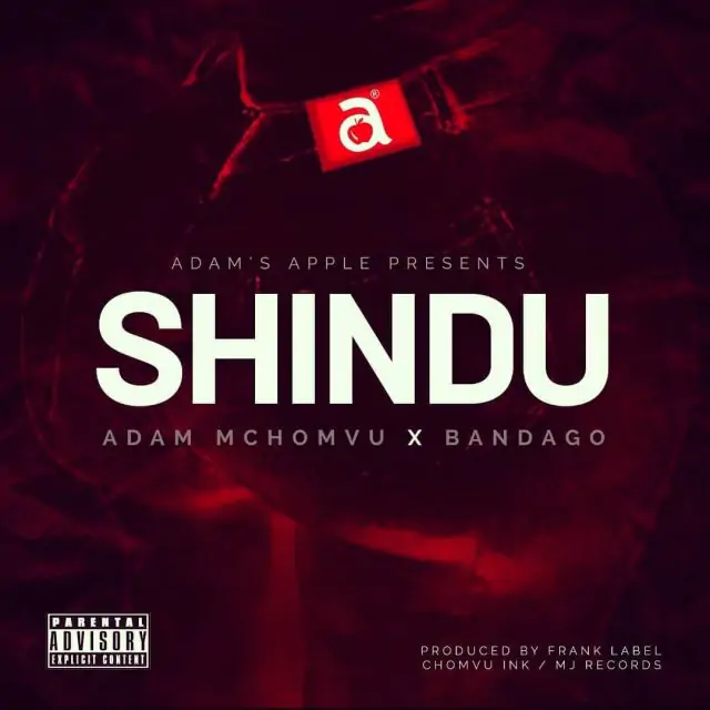 Audio: Adam Mchomvu X Bandago - Shindu (Mp3 Download)
