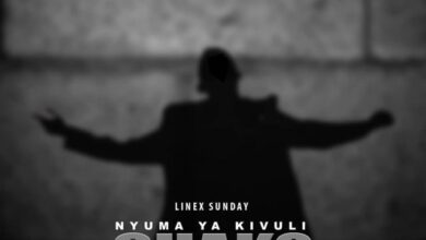 Audio: Linex Sunday - Nyuma Ya Kivuli Chako (Mp3 Download) - KibaBoy