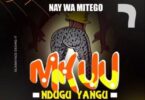 Audio: Nay Wa Mitego - Mkuu Ndugu Yangu (Mp3 Download) - KibaBoy