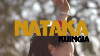 Audio: Natasha - Nataka Kuingia (Mp3 Download) - KibaBoy