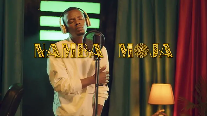 VIDEO: Walter Chilambo - Namba Moja (Mp4 Download)