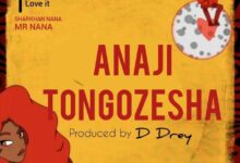 Audio: Mr Nana - Anajitongozesha (Mp3 Download) - KibaBoy