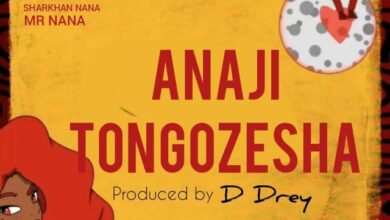 Audio: Mr Nana - Anajitongozesha (Mp3 Download) - KibaBoy