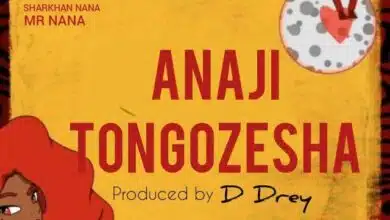 Audio: Mr Nana - Anajitongozesha (Mp3 Download)