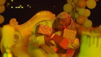 VIDEO: Rayvanny - Birthday (Mp4 Download)