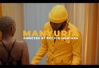 VIDEO: Willy Paul - Manyuria (Mp4 Download) - KibaBoy