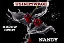 Audio: Arrow Bwoy Ft Nandy - Usinimwage (Mp3 Download) - KibaBoy