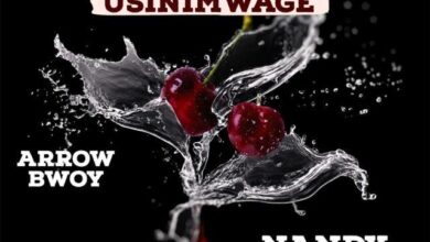 Audio: Arrow Bwoy Ft Nandy - Usinimwage (Mp3 Download) - KibaBoy