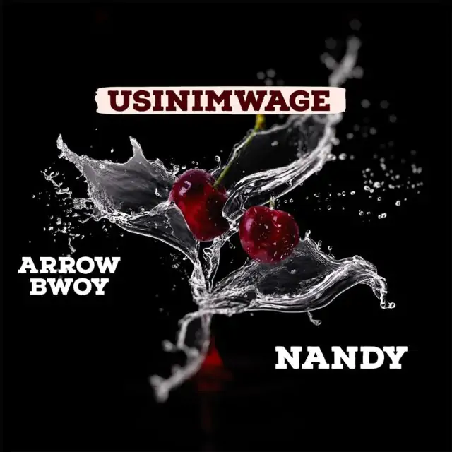 Audio: Arrow Bwoy Ft Nandy - Usinimwage (Mp3 Download)