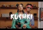VIDEO: Chege Ft. Saraphina - Kushki (Mp4 Download) - KibaBoy