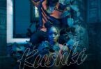 Audio: Chege Ft. Phina - Kushki (Mp3 Download) - KibaBoy