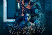 Audio: Chege Ft. Phina - Kushki (Mp3 Download) - KibaBoy