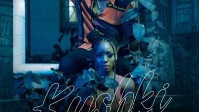 Audio: Chege Ft. Phina - Kushki (Mp3 Download) - Kibaboy