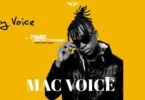 Audio: Macvoice Ft. Leon Lee & Rayvanny - Pombe (Mp3 Download) - KibaBoy