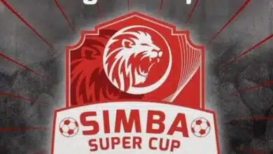 Audio: Man Fongo - Simba Nguvu Moja (Mp3 Download)