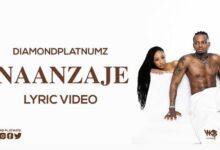 VIDEO: Diamond Platnumz - Naanzaje (Lyric Video) (Mp4 Download) - KibaBoy