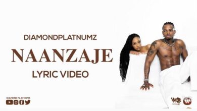 VIDEO: Diamond Platnumz - Naanzaje (Lyric Video) (Mp4 Download) - KibaBoy