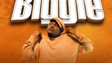 Audio: Dully Sykes - Biggie (Mp3 Download) - KibaBoy