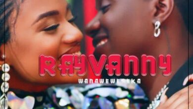 Audio: Rayvanny - Wanaweweseka (Mp3 Download) - KibaBoy