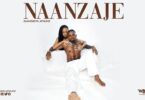 Audio: Diamond Platnumz - Naanzaje (Mp3 Download) - KibaBoy