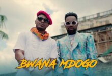 VIDEO: Alikiba Ft. Patoranking - Bwana Mdogo (Mp4 Download) - KibaBoy