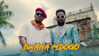 VIDEO: Alikiba Ft. Patoranking - Bwana Mdogo (Mp4 Download) - KibaBoy