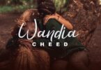 Lyrics VIDEO: Cheed - Wandia (Mp4 Downoad) - KibaBoy