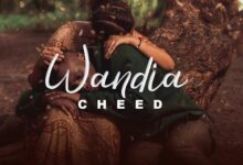 Lyrics VIDEO: Cheed - Wandia (Mp4 Downoad) - KibaBoy