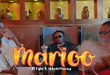 VIDEO: Marioo Ft. Tyler ICU, Visca & Abbah Process - Beer Tamu (Mp4 Download) - KibaBoy