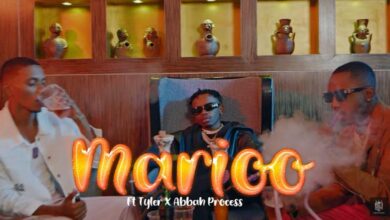 VIDEO: Marioo Ft. Tyler ICU, Visca & Abbah Process - Beer Tamu (Mp4 Download) - KibaBoy