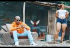 VIDEO: Mtafya - Nyama Ni Nyama (Mp4 Download) - KibaBoy