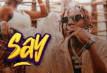 Audio: Country Wizzy - Say (Mp3 Download) - KibaBoy