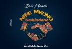 Audio: Dulla Makabila - Nipe Mkono Tushindane (Mp3 Download) - KibaBoy