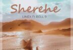 Audio: Linex Sunday Ft. Belle 9 - Sherehe (Mp3 Download) - KibaBoy