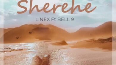 Audio: Linex Sunday Ft. Belle 9 - Sherehe (Mp3 Download) - KibaBoy