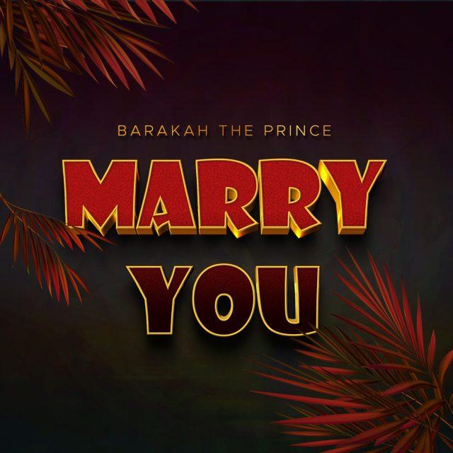 Audio: Barakah The Prince - Marry You (Mp3 Download) - KibaBoy