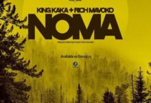 Audio: King Kaka Ft. Rich Mavoko - Noma (Mp3 Download) - KibaBoy