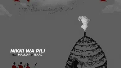 Audio: Nikki Wa Pili Ft Mallu P & Isaac - Nyumbani (Mp3 Download)