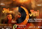 Audio: Snura Ft. Mchina Mweusi - Kaliamsha (Mp3 Download) - KibaBoy