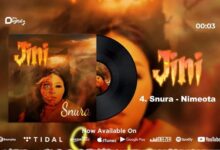 Audio: Snura - Nimeota (Mp3 Download) - KibaBoy