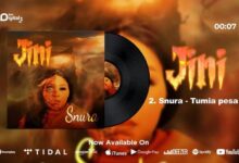 Audio: Snura - Tumia Pesa (Mp3 Download) - KibaBoy