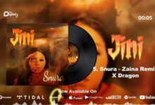 Audio: Snura X Dragon - Zaina Remix (Mp3 Download) - KibaBoy