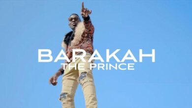 VIDEO: Baraka The Prince - Marry You (Mp4 Download) - KibaBoy