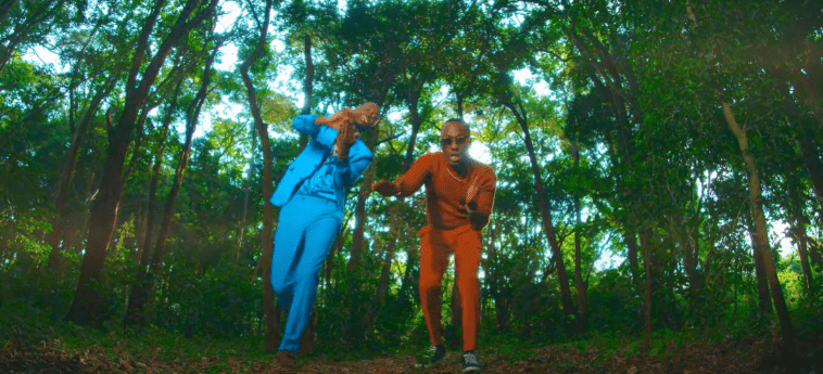 VIDEO: King Kaka Ft. Rich Mavoko - Noma (Mp4 Downoad) - KibaBoy