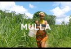 VIDEO: Rosa Ree Ft. Abby Chams - Mulla (Mp4 Download) - KibaBoy