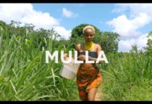 VIDEO: Rosa Ree Ft. Abby Chams - Mulla (Mp4 Download) - KibaBoy