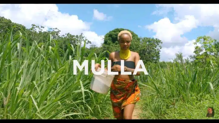 VIDEO: Rosa Ree Ft. Abby Chams - Mulla (Mp4 Download)