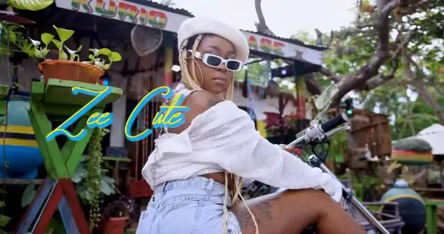 VIDEO: Zee Cute - Party after Party (Mp4 Download)